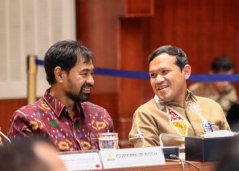 Revisi UUPA Jadi Usul Inisiatif , Mualem-Dek Fadh Apresiasi DPRI-RI